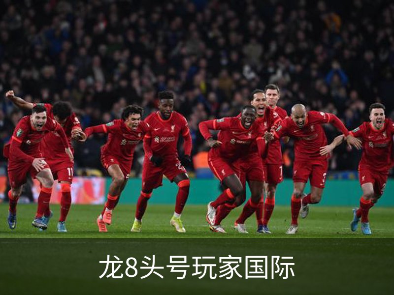 龙8头号玩家国际简介